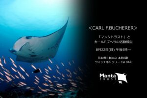 「マンタトラスト」と＜カール F. ブヘラ＞の活動報告